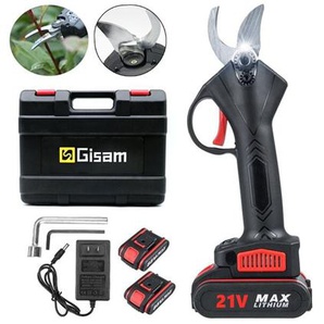 Highsam - Gartenscheren 21V 2 Batterien Gartenschere für Obstbäume