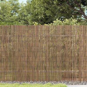 Gartenzaun 600x100 cm Schilf