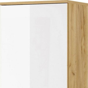 GERMANIA Hängeschrank Avino Breite 39 cm, Glasfront, Soft-Close-Funktion