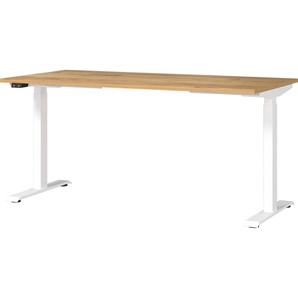 GERMANIA Schreibtisch Jet, elektrisch höhenverstellbar, moderne Farbvariationen, Breite 120/140/160/180 cm, Made in Germany