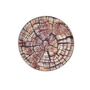 Gino Falcone Indoor-Outdoorteppich Aurora - braun - Synthetische Fasern - 60 cm - 0,5 cm | Möbel Kraft