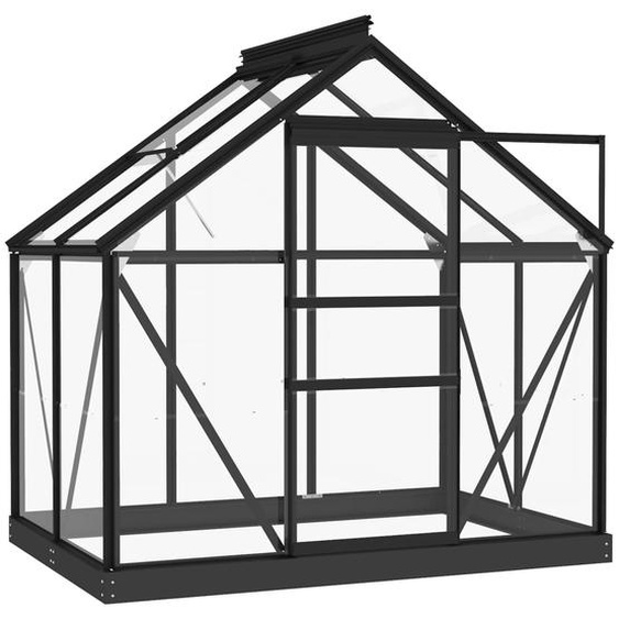 Glas Gewächshaus Anthrazit 155x103x191 cm Aluminium