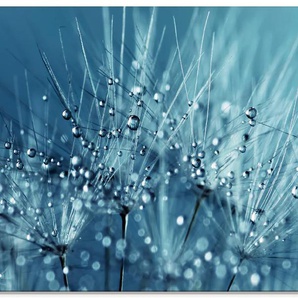 Glasbild ARTLAND Blaue glitzernde Pusteblume Bilder Gr. B/H: 80 cm x 60 cm, Glasbild Blumen Querformat, 1 St., blau Glasbilder
