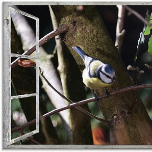 Glasbild ARTLAND Fensterblick - Blaumeise Bilder Gr. B/H: 80 cm x 60 cm, Glasbild Vögel Querformat, 1 St., bunt Glasbilder