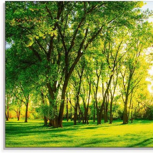 Glasbild ARTLAND Frühlingswärme II Bilder Gr. B/H: 125 cm x 50 cm, Wiesen & Bäume, 1 St., grün Glasbilder
