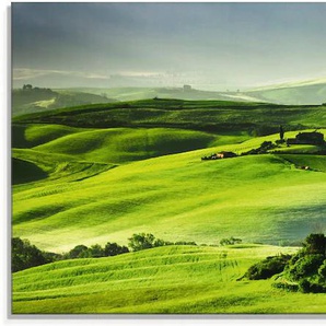 Glasbild ARTLAND Sonnenaufgang über einer Olivenfarm Bilder Gr. B/H: 125 cm x 50 cm, Felder, 1 St., grün Glasbilder