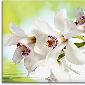 Glasbild ARTLAND Weiße Orchidee Bilder Gr. B/H: 100 cm x 50 cm, Blumen, 1 St., weiß Glasbilder