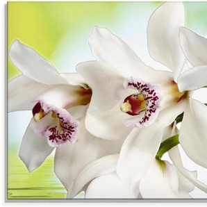 Glasbild ARTLAND Weiße Orchidee Bilder Gr. B/H: 125 cm x 50 cm, Blumen, 1 St., weiß Glasbilder