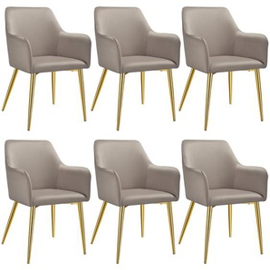 GmbH Armlehnstuhl Avane, Samtoptik, gepolstert - taupe, 6er Set 405498