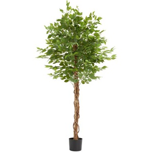 GmbH Künstlicher Ficusbaum Fida, realistische Textur - 180 cm 405611