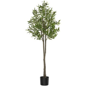 GmbH Künstlicher Olivenbaum Oleand, realistische Textur - 150 cm 405600
