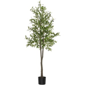 GmbH Künstlicher Olivenbaum Oleand, realistische Textur - 180 cm 405601