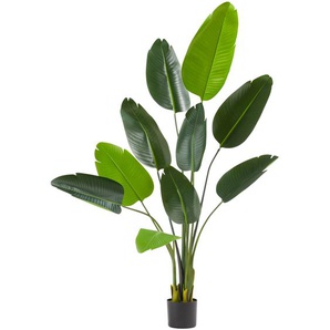 GmbH Künstlicher Paradiesvogelbaum Tropic, naturgetreu - 160 cm 405607