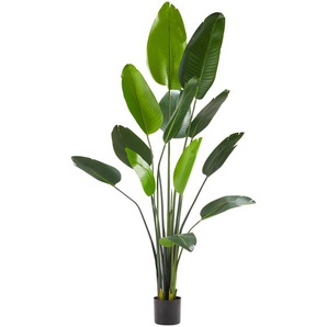 GmbH Künstlicher Paradiesvogelbaum Tropic, naturgetreu - 180 cm 405608