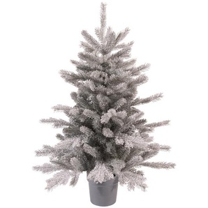 Grandis Minibaum im Topf gefrostet Ø63 - H90 cm - grau