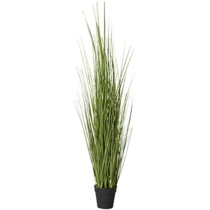 Grasbüschel getopft - grün - Kunststoff,Schaumstoff,Zement - 121,5 cm - 29.0 | Möbel Kraft
