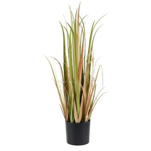 Grasbüschel getopft - grün - Kunststoff,Zement - 70 cm - 12.5 | Möbel Kraft