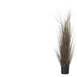 Grasbüschel getopft - lila/violett - Kunststoff - 120 cm - 50.0 | Möbel Kraft