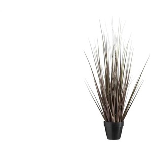 Grasbüschel getopft - lila/violett - Kunststoff - 67 cm - 32.0 | Möbel Kraft