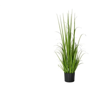 Grasbüschel - grün - Zement,Kunststoff - 113 cm | Möbel Kraft