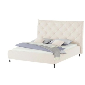 Gray & Jones Polsterbettgestell Tierra Fuego - creme - Materialmix - 216 cm - 146 cm | Möbel Kraft