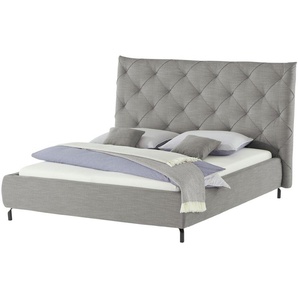 Gray & Jones Polsterbettgestell  Tierra Fuego ¦ grau ¦ Maße (cm): B: 236 H: 146