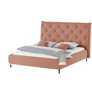 Gray & Jones Polsterbettgestell Tierra Fuego - orange - Materialmix - 176 cm - 146 cm | Möbel Kraft