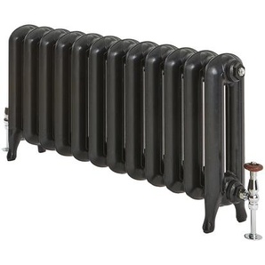 Gusseisen-Heizkörper - 560mm x 983mm, 1406W - Schwarz - Erté