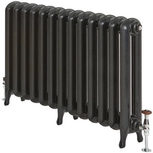 Gusseisen-Heizkörper - 760mm x 1062mm, 1552W - Schwarz - Erté