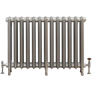 Gusseisenheizkörper (2 Säulen) 760mm x 1062mm - Silber - Erté