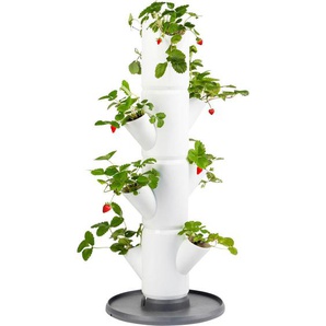 Gusta Garden Pflanzentopf Sissi Strawberry, Weiß, Kunststoff, 32x77 cm, Loch, frostgeeignet, Dekoration, Blumen & Zubehör, Übertöpfe