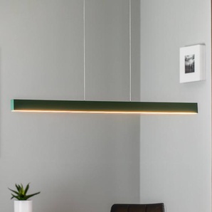 Hängelampe Broll Argon, grün, für Wohn- / Esszimmer, Metall, Modern L 8406