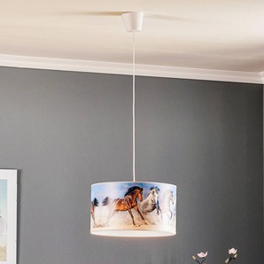Hängelampe Horses Duolla, dimmbar, Multicolour, für Wohn- / Esszimmer, Kunststoff, Modern, Pendelleuchte 8840