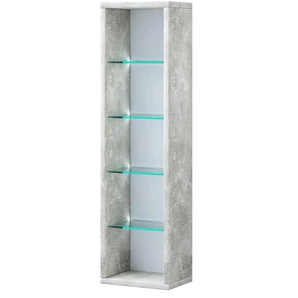 Hängeregal  Rasito ¦ grau ¦ Maße (cm): B: 21 H: 76,6 T: 14.4