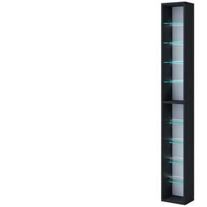 Hängeregal  Rasito ¦ schwarz ¦ Maße (cm): B: 21 H: 151,6