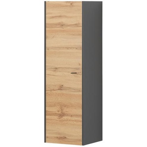 Hängeschrank  Light Line 10 ¦ grau ¦ Maße (cm): B: 43 H: 141 T: 40.0