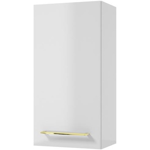 Hängeschrank  Mechower See ¦ weiß ¦ Maße (cm): B: 30 H: 60 T: 22.0