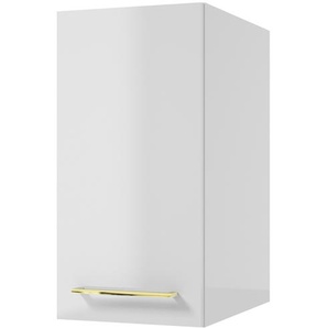 Hängeschrank  Mechower See ¦ weiß ¦ Maße (cm): B: 30 H: 60 T: 45.0