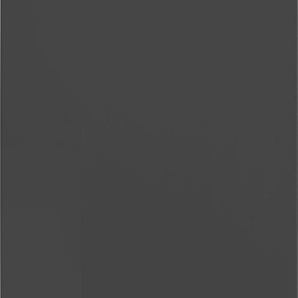 Hängeschrank OPTIFIT Parma Schränke Gr. B/H/T: 30 cm x 70,4 cm x 34,9 cm, 1 St., Komplettausführung, grau (anthrazit) Hängeschränke Breite 30 cm