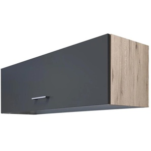 Hängeschrank Spa | grau | 100 cm | 32 cm | cm 32,0 |