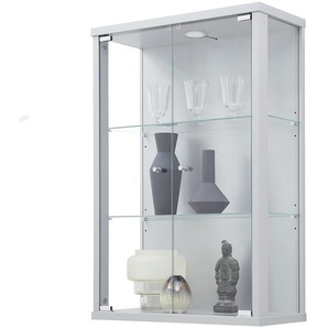 Hängevitrine I 56 x 82 x 25cm mit Beleuchtung Silber/Silber