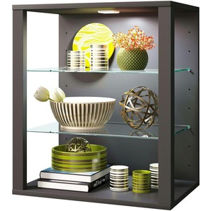 Hängevitrine  Glasol ¦ grau ¦ Maße (cm): B: 52 H: 60