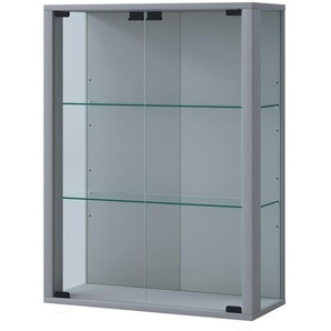 Hängevitrine  Udina ¦ silber ¦ Maße (cm): B: 60 H: 80 T: 25.0