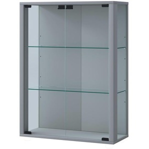Hängevitrine - silber - Materialmix - 60 cm - 80 cm | Möbel Kraft