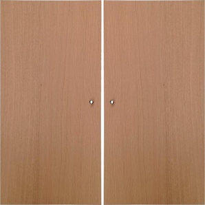Hammel Furniture Türfront Mistral Kubus 063, Tür passend zur Sideboard & Bücherregal (2 St), (2 St), als Ergänzung für Korpus 025, 026, 116 und 117, Breite: 32 cm