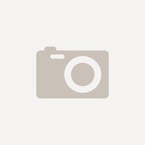 Hammerbacher Schrank V1732S/6/S/CEDE Braun 1.200 x 400 x 748 mm 1199676