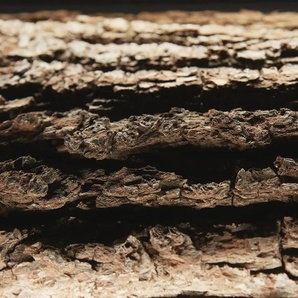 HARTMANN LED-Beleuchtung  Runa ¦ weiß