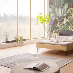 Hasena Massivholzbett, Kopfteil gepolstert Lugano, Farbe: Eiche bright, geölt, Bezugsfarbe: Kul smoke, Metallfarbe: Anthracit, verschiedene Größen