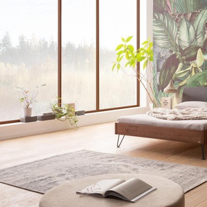 Hasena Massivholzbett, Kopfteil gepolstert Lugano, Farbe: Nussbaum, geölt, Bezugsfarbe: Kul smoke, Metallfarbe: Anthracit, verschiedene Größen