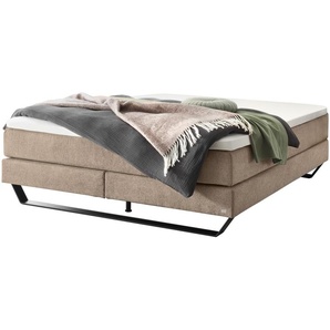 Hasena Pronto Julieta Boxspringbett metall/schwarz